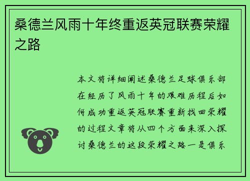 桑德兰风雨十年终重返英冠联赛荣耀之路